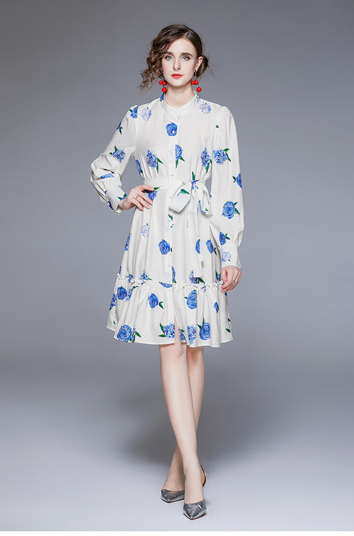 Spring Fall Daily Long-Sleeve Elegant Printed A-Line Knee Dress