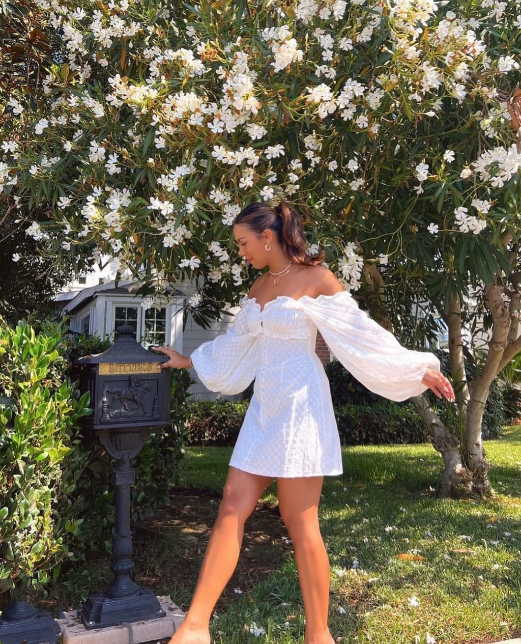 Embroidered Ruffle Long-Sleeve A-Line Mini Dress