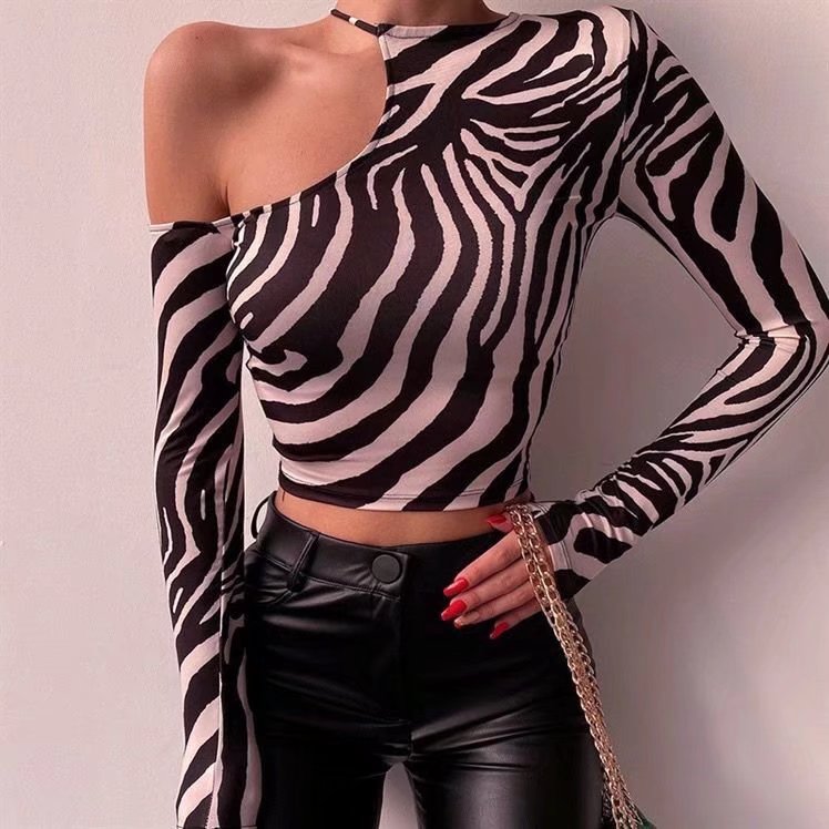 Women's Snake Print Asymmetric Long Sleeve Top