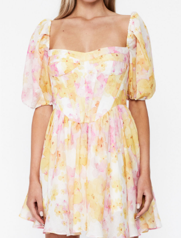 Chiffon Dream Printed Tape Lining Slim Dress