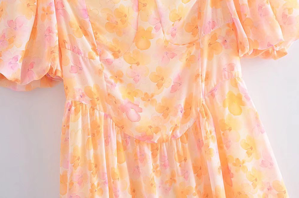 Chiffon Dream Printed Tape Lining Slim Dress