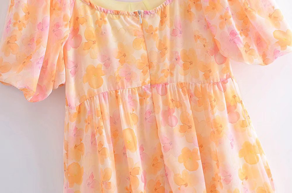 Chiffon Dream Printed Tape Lining Slim Dress