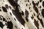 Animal Print Satin-Feel Midi Dress