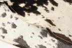 Animal Print Satin-Feel Midi Dress