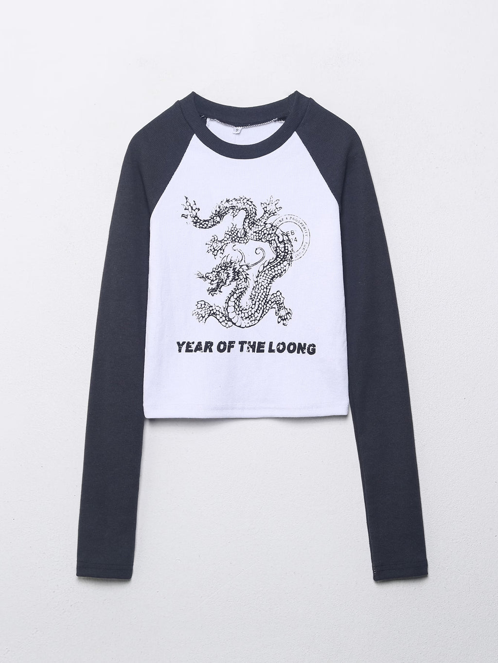Women’s Contrast Animal Print Cropped T Shirt