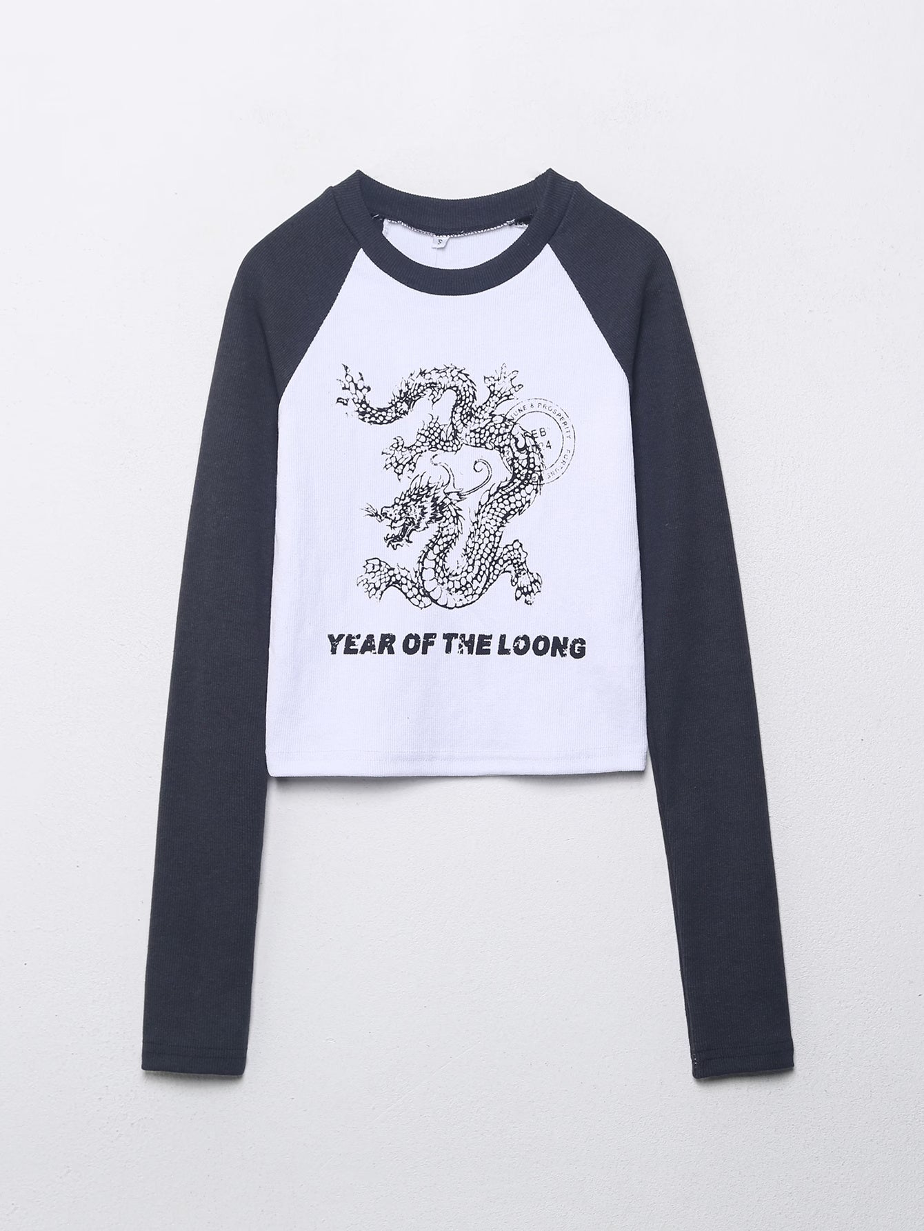 Women’s Contrast Animal Print Cropped T Shirt