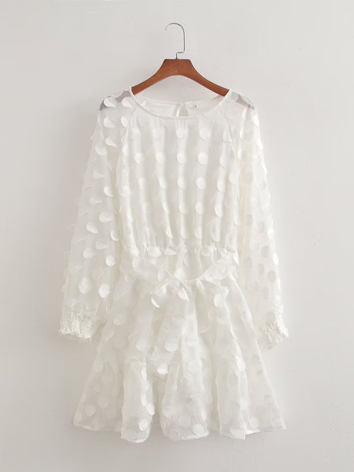 Women's Textured Chiffon Dress with Belt