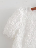 Summer Round Neck Lace Embroidered Design Elegant Dress