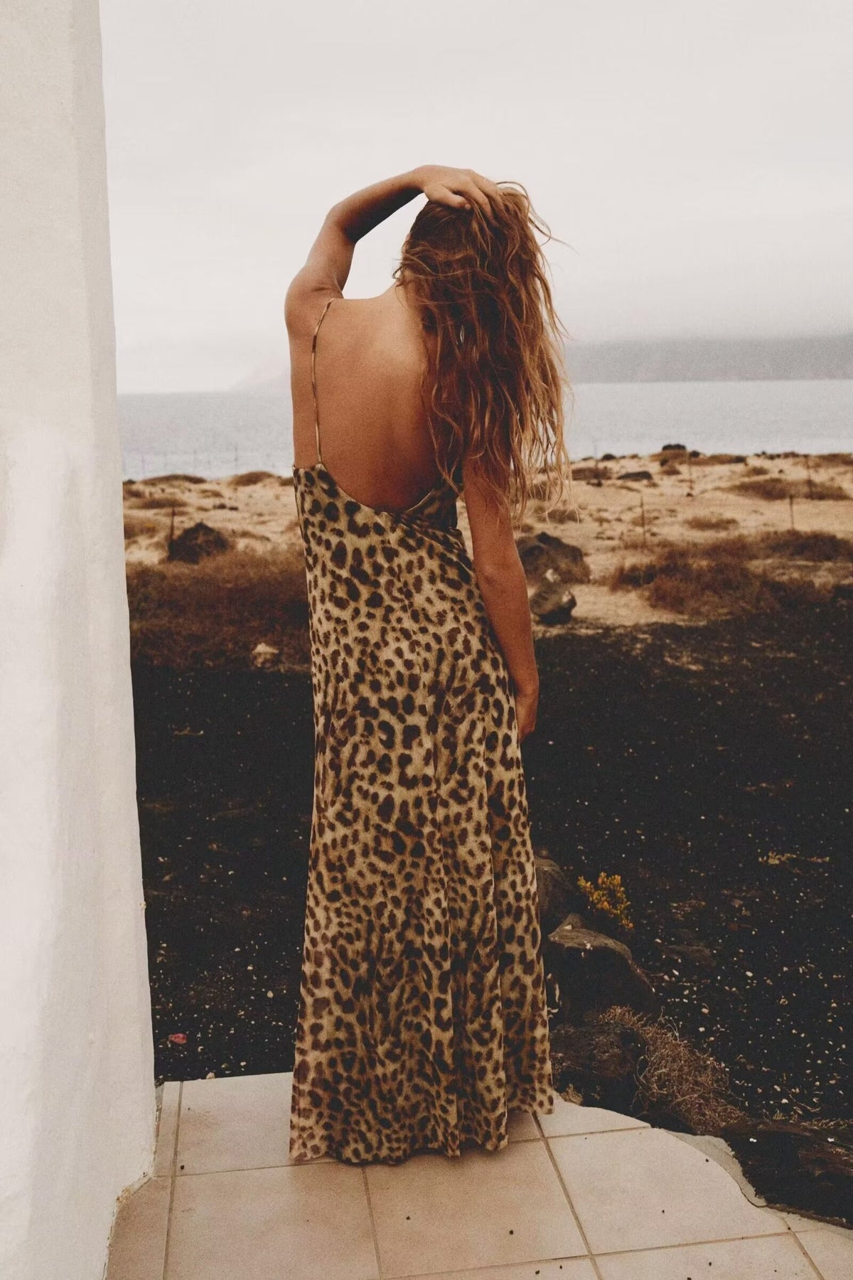 Animal Print Silk Net Dress