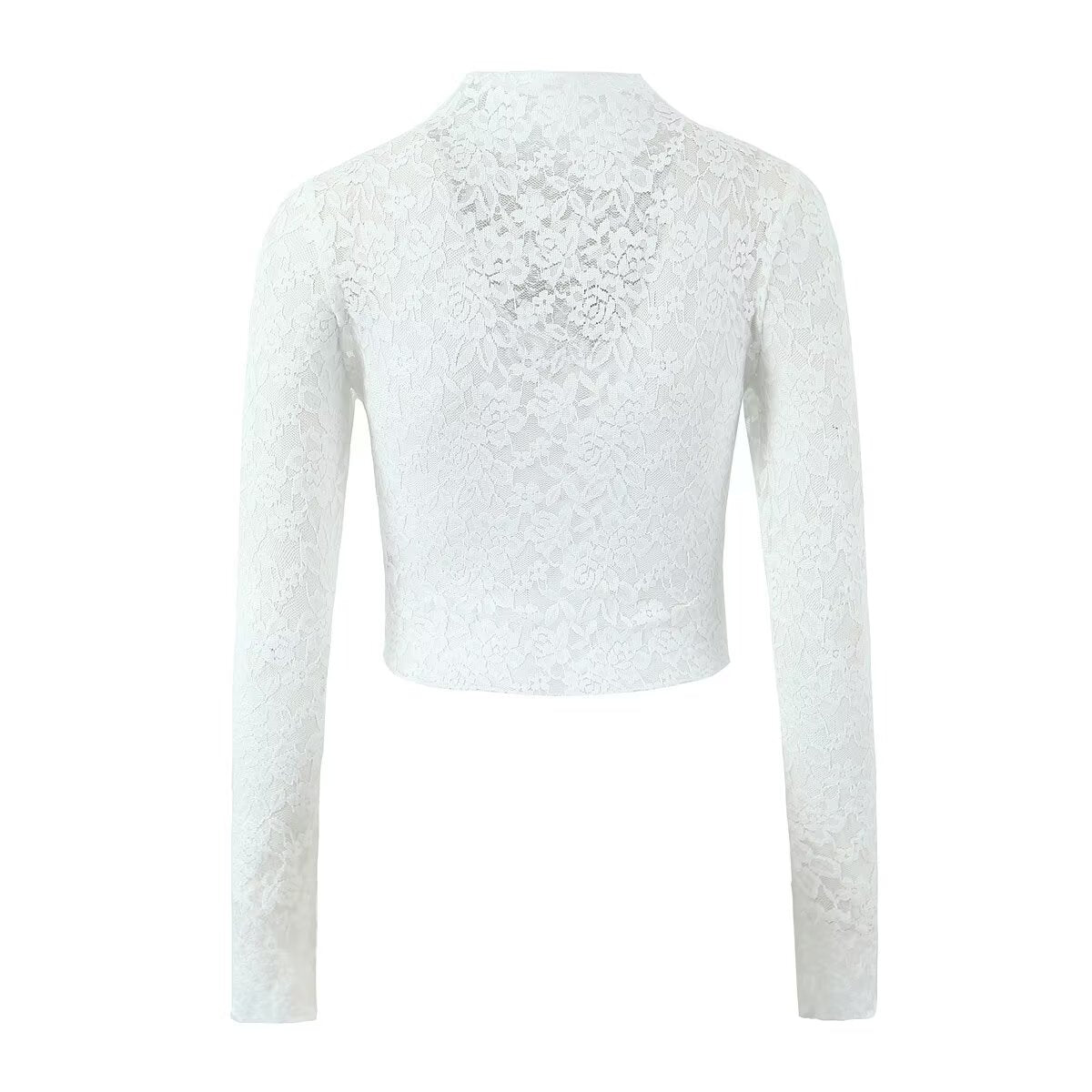 Women's Lace See Through Sexy Small Turtleneck Long Sleeved Top Irregular Asymmetric Skirt Two Piece Set