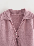 Women’s Retro Collared Short Sleeve Sweater