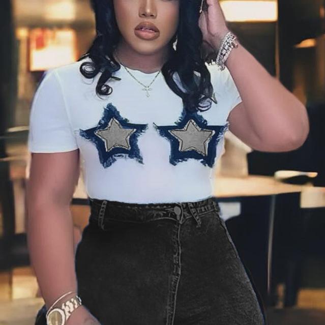 Star Embroidered Cropped T-Shirt