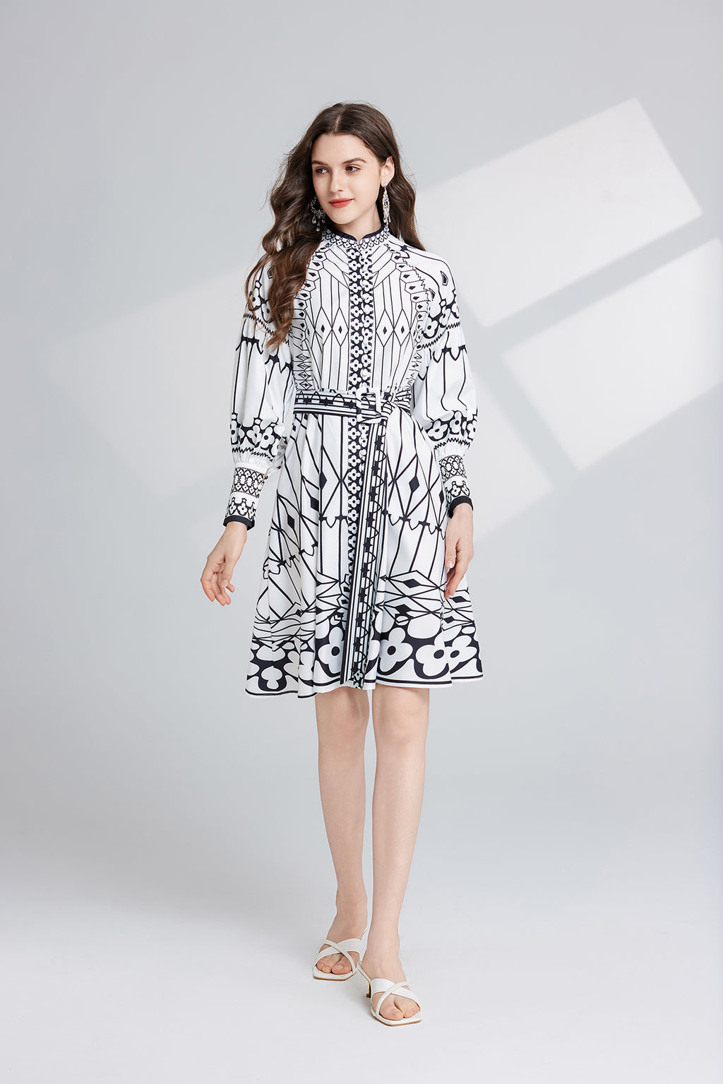 Women's Printed Stand-Collar A-Line Dress