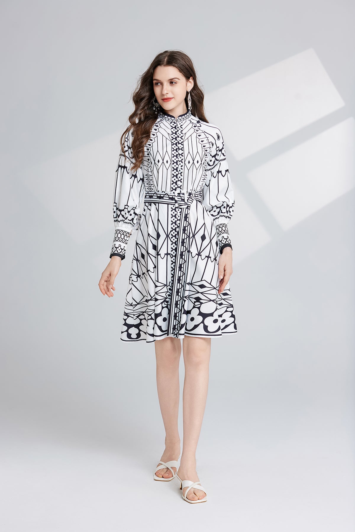 Women's Printed Stand-Collar A-Line Dress