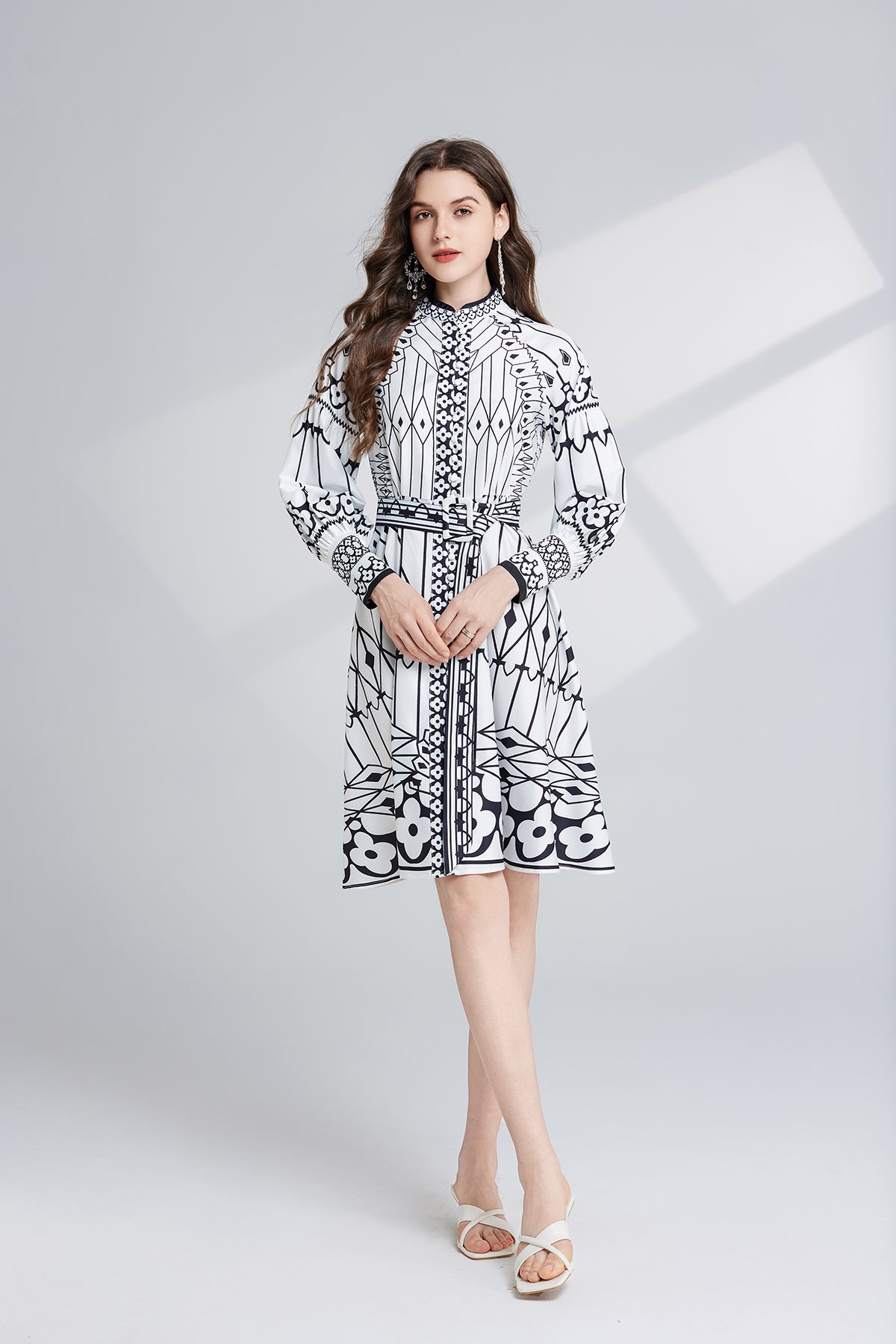 Women's Printed Stand-Collar A-Line Dress