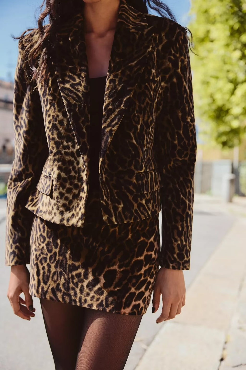 Women's Animal-Print Cropped Blazer & Skirt Two-Piece Set