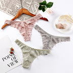 Hollow Out Underwear Lingerie