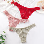Hollow Out Underwear Lingerie