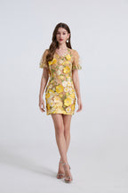 Women's Embroidered 3D Applique V-Neck Dress