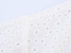 Women's Embroidered V-Neck Mini Dress