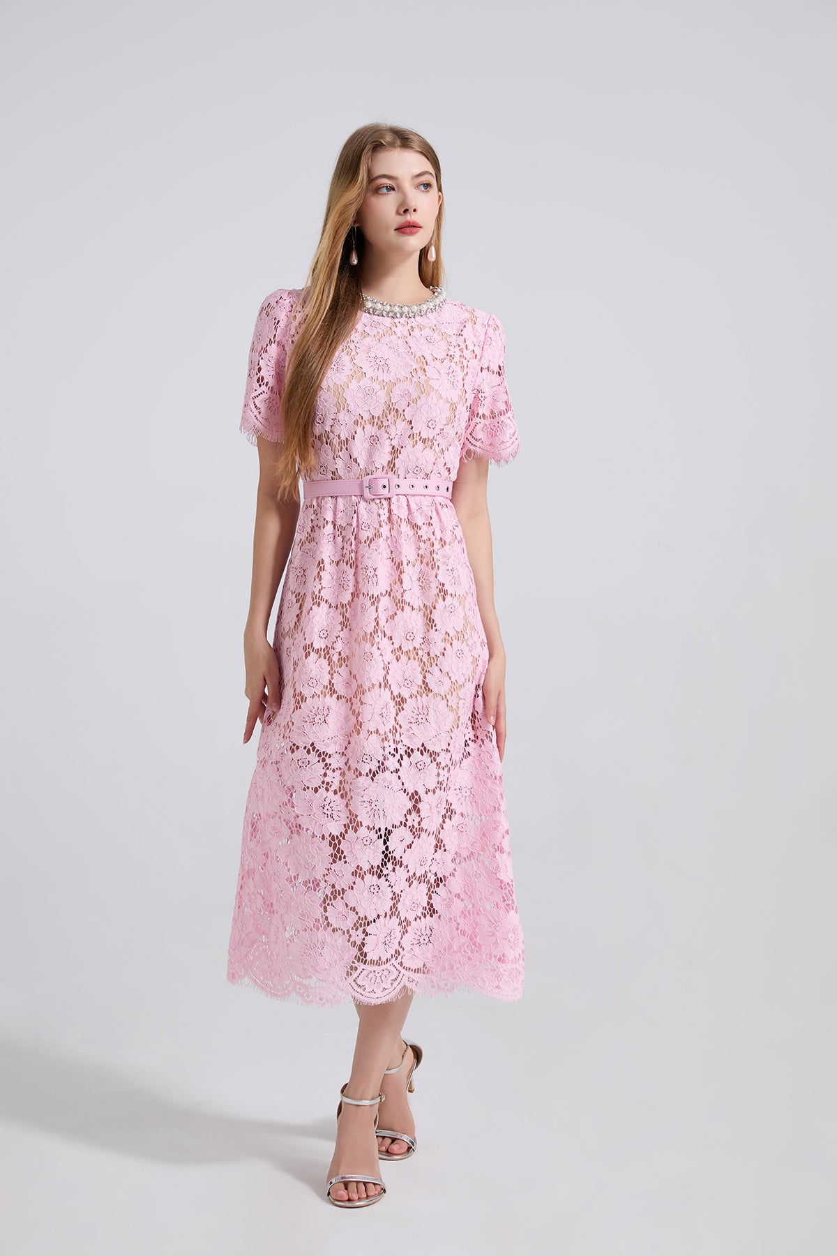 Embroidered Lace Short-Sleeve Midi Dress