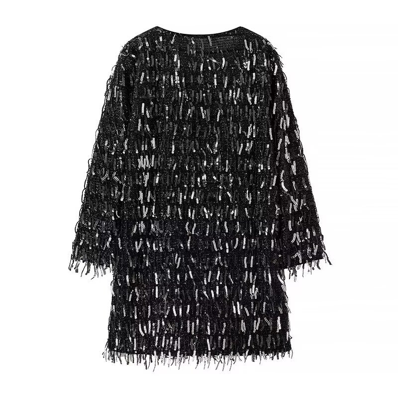 Winter Street V-Neck Tassel Sequ Dress
