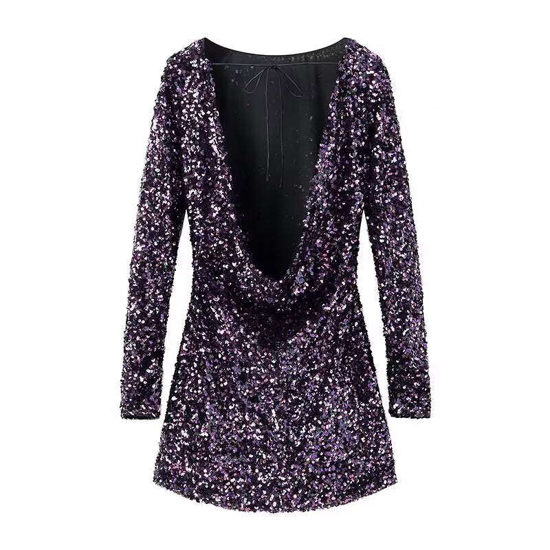 Long Sleeve Round Neck Small Dress Sequined Mini