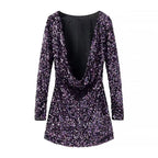 Long Sleeve Round Neck Small Dress Sequined Mini