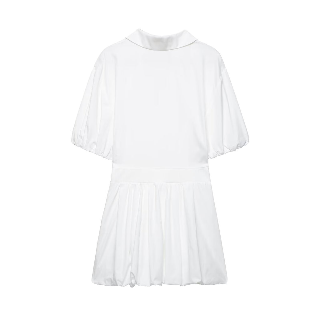 Women's Slim Fit Poplin Mini V Neck Dress