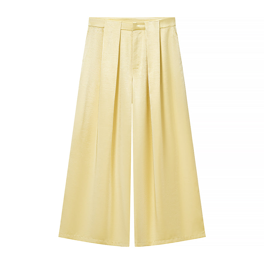 Spring Casual Women Clothing Tied V neck Long Sleeve Blazer Wide Leg Pants Set