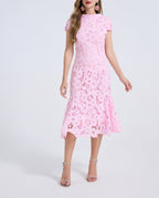 Pink lace knee-length dress with short sleeves and scalloped hem