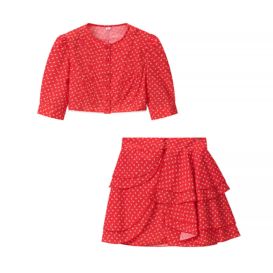 Women Retro Printed Crew neck Short Top Flounced Skirt Set