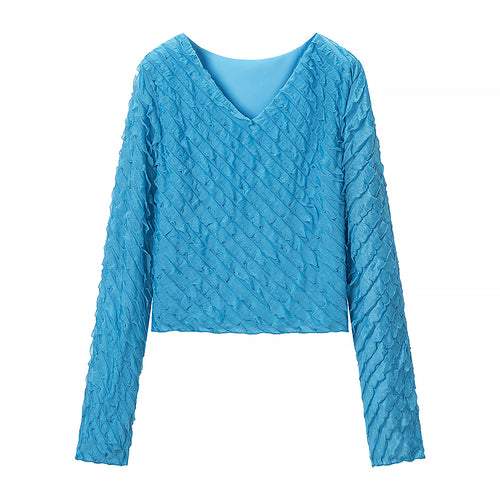 Women's Women’s V Neck Long Sleeve Top