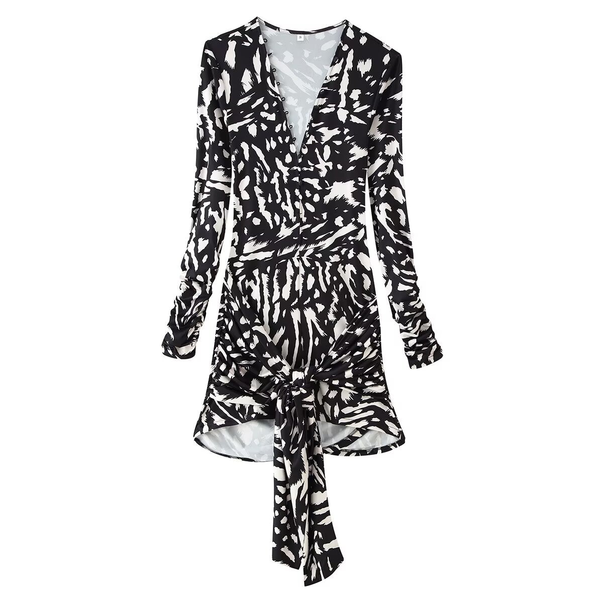 Women's Zebra Print Tassel Long Sleeve Mini Dress