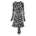 Women's Zebra Print Tassel Long Sleeve Mini Dress