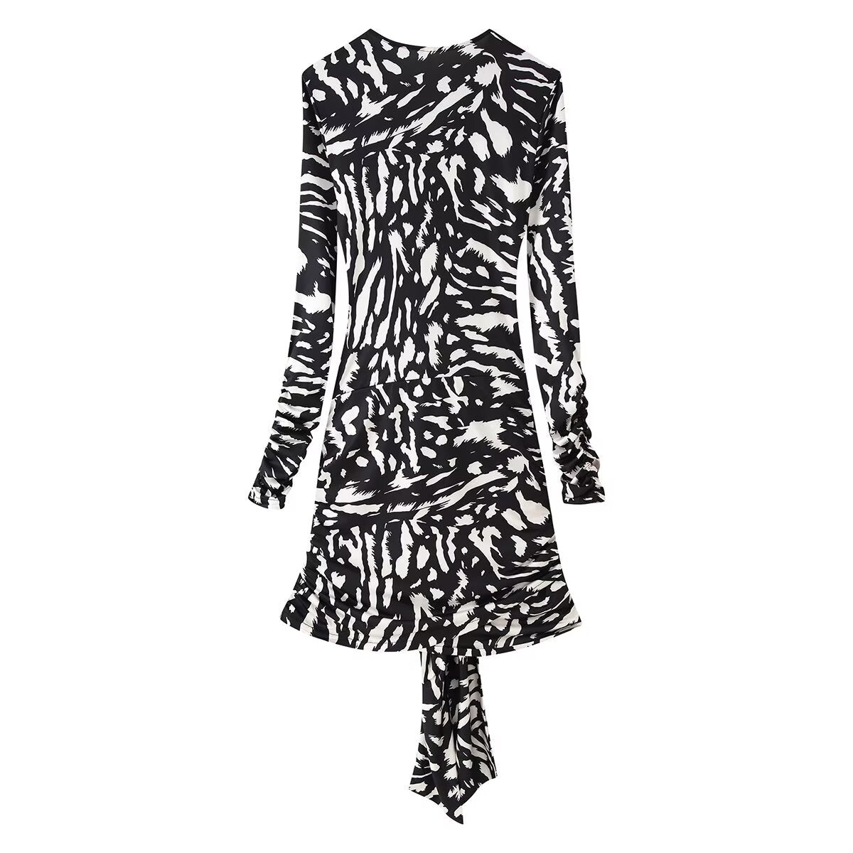 Women's Zebra Print Tassel Long Sleeve Mini Dress
