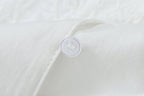 Women's French Vintage Embroidered Poplin Shirt
