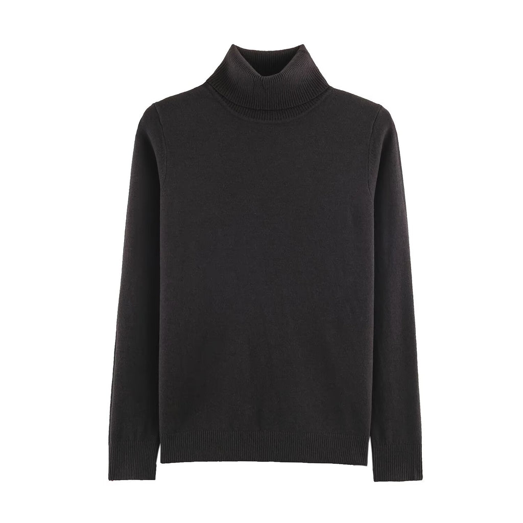 Women's Turtleneck Knit Top Sweater