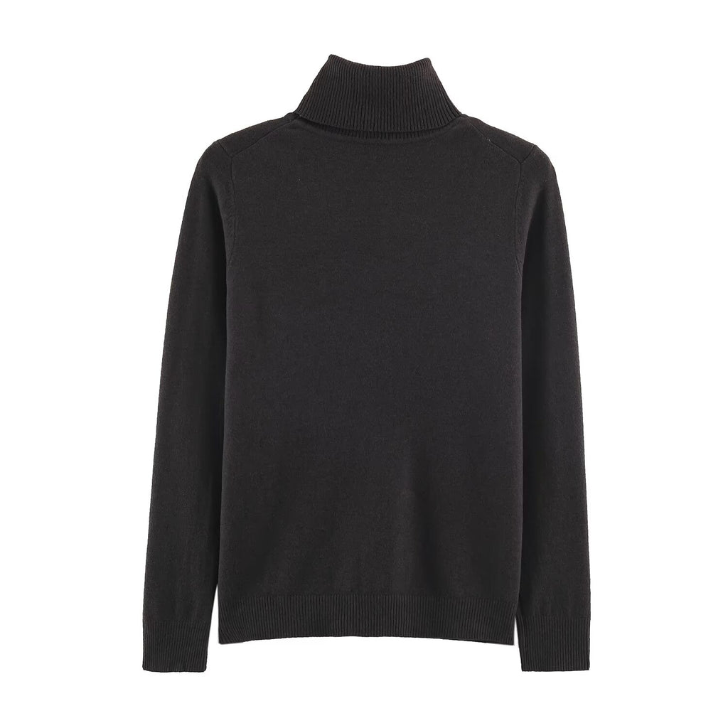 Women's Turtleneck Knit Top Sweater