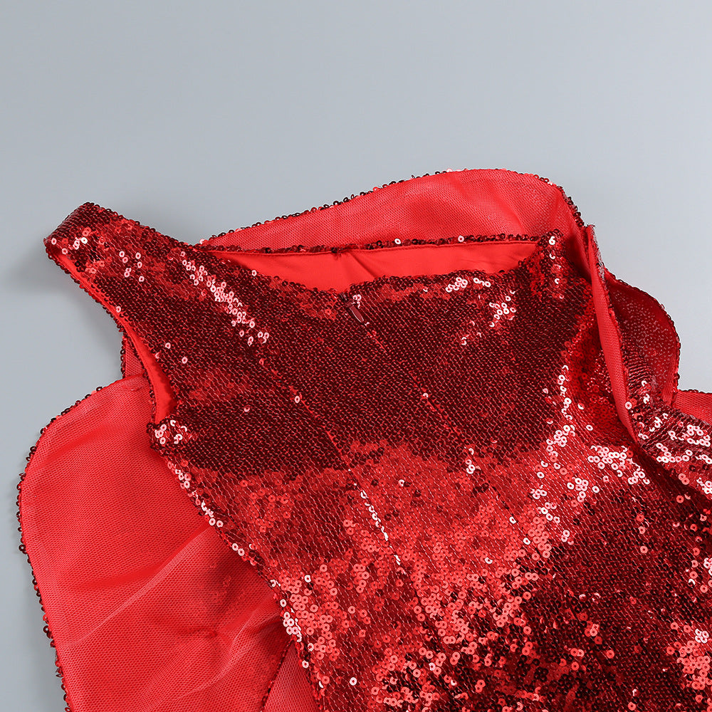 Red sequined mesh bodice with rose applique detail on a mini dress
