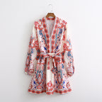 Spring Autumn New Fashion Long Sleeve V-Neck Print Dress