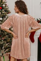 Light French Beige Embroidered Velvet Mini Dress