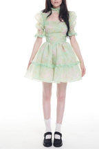 Women's Floral Lace Cutout Puff Sleeve A-Line Mini Dress