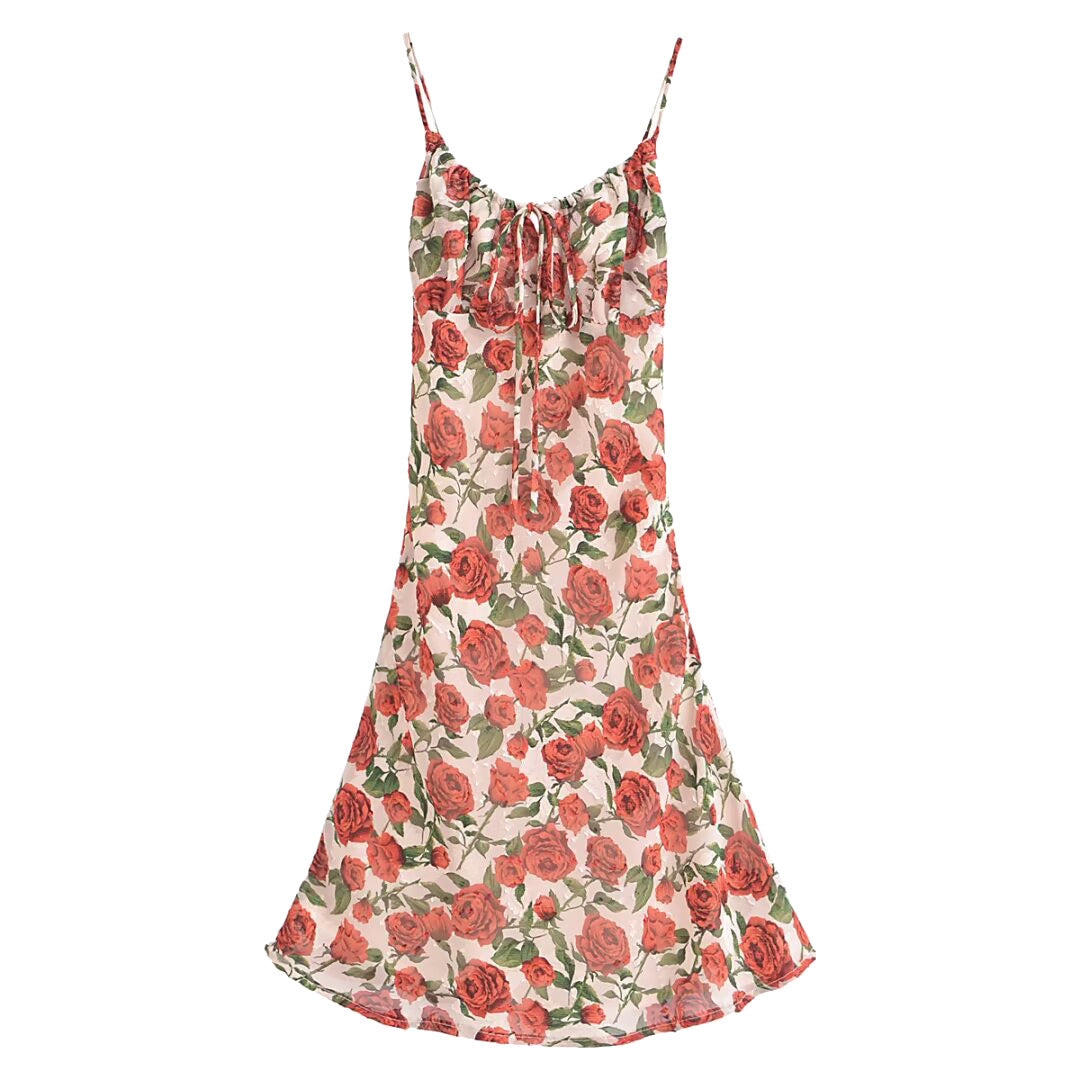 Apricot