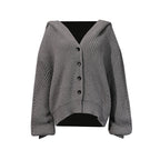Women's Korean Elegant Casual Hooded Sweater Fall Knitwear