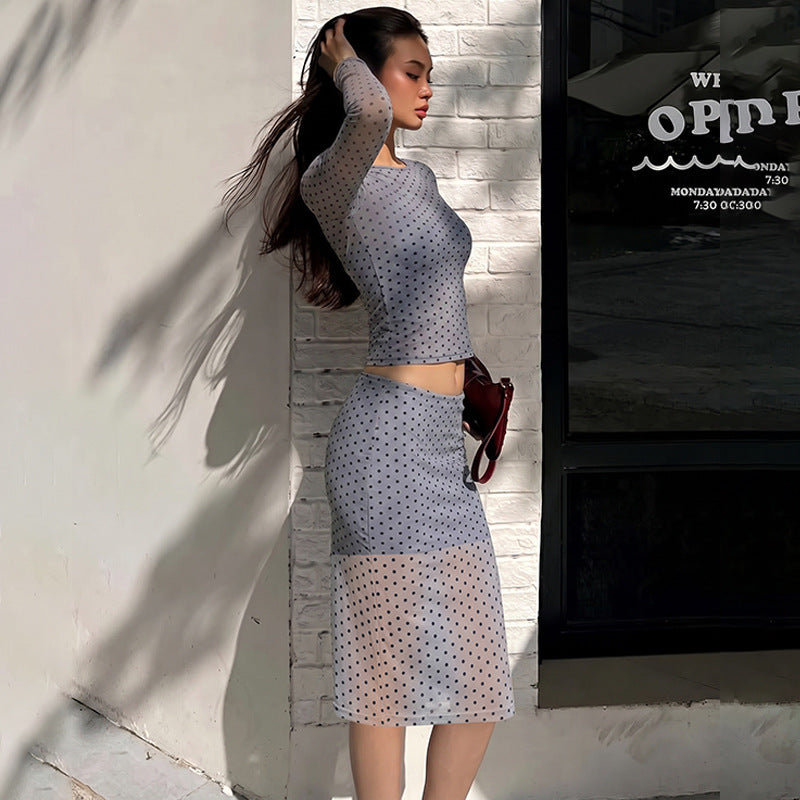 Women's Mesh Lace Top And Skirt Set