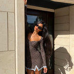 Women's Leopard Print Lace Dress Stitching Sexy Waist Controlled Long Sleeve Slim Fit Dress