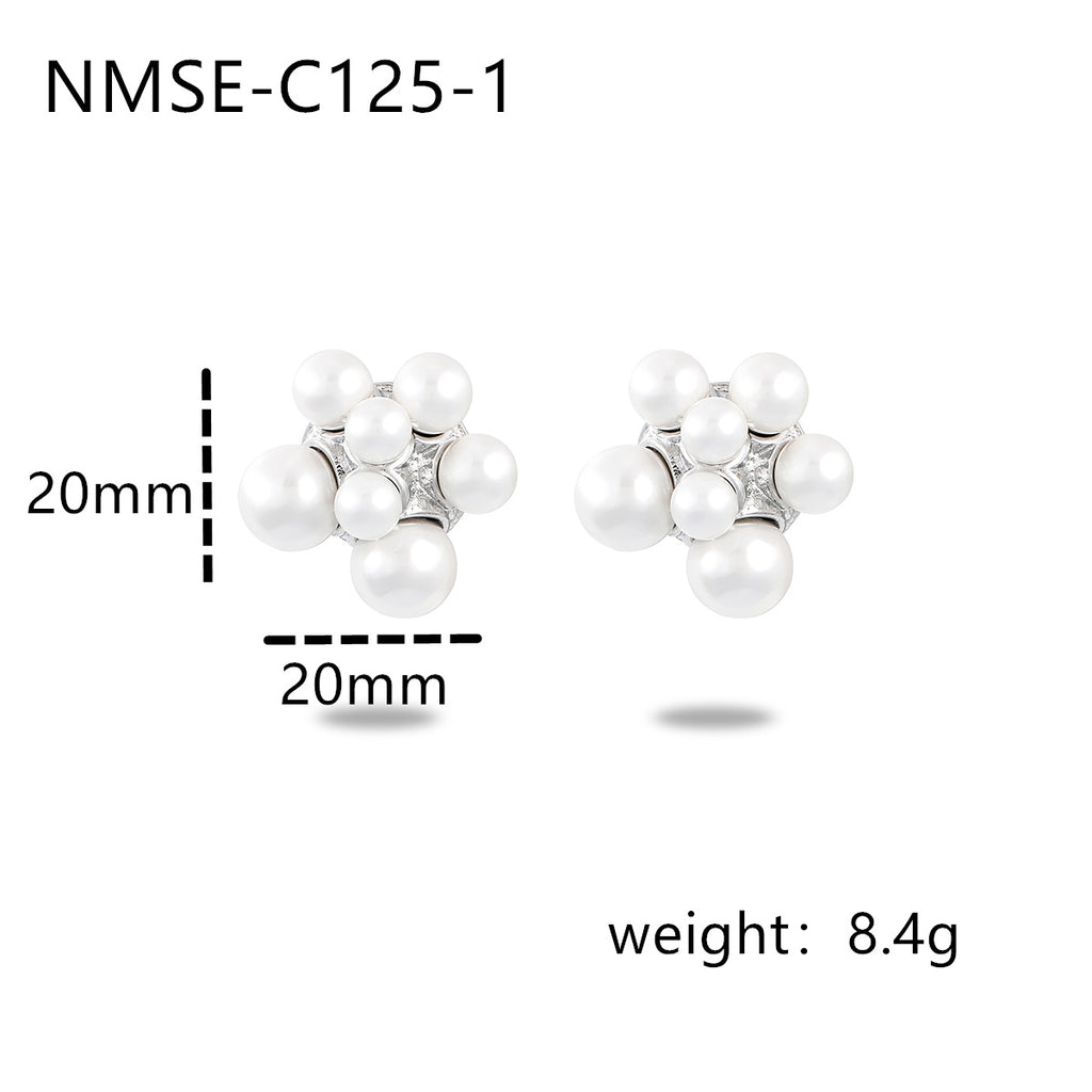 NMSE-C125-1