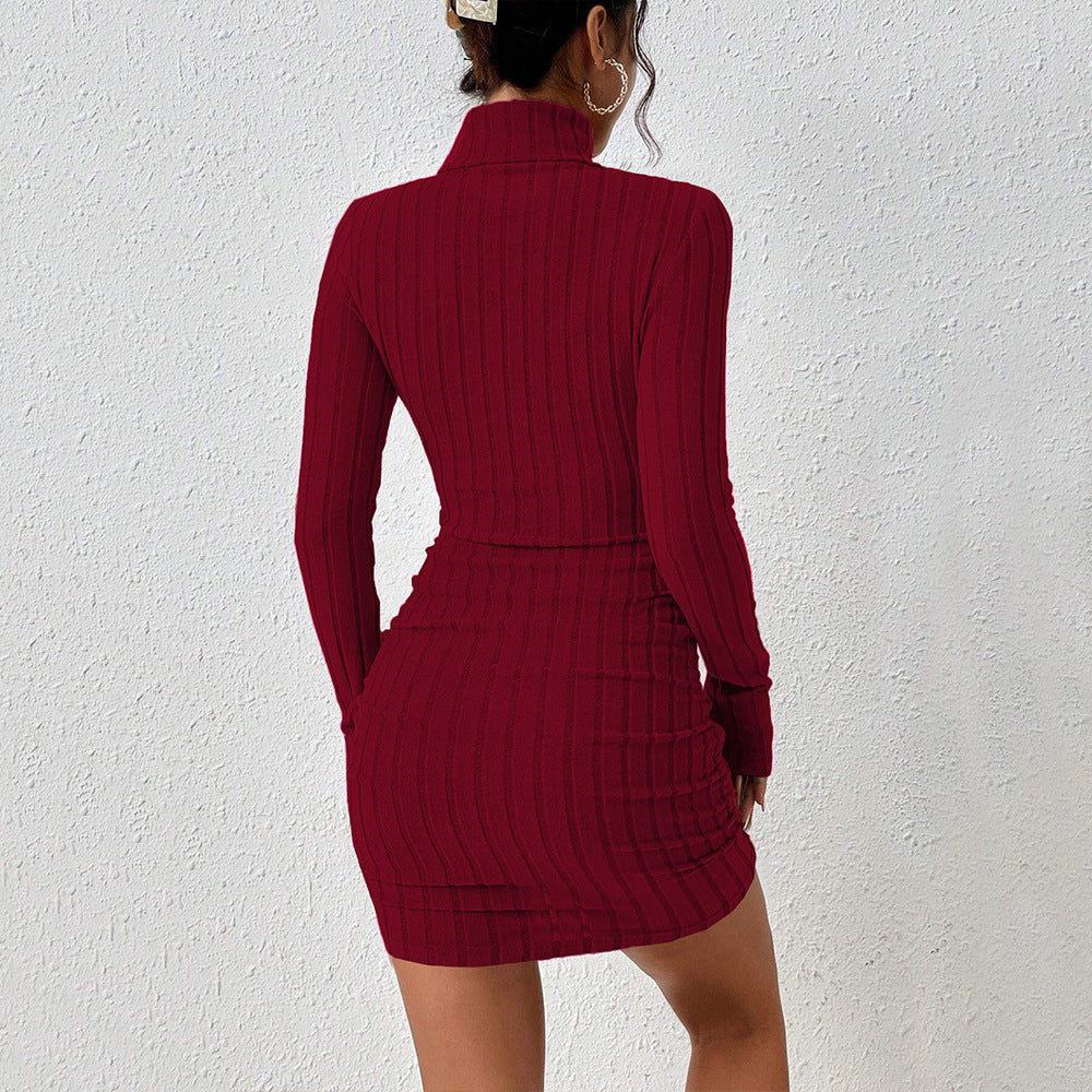 Women’s Wine Red High-Neck Mini Dress