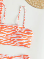 Three Striped Bikini Swimwear